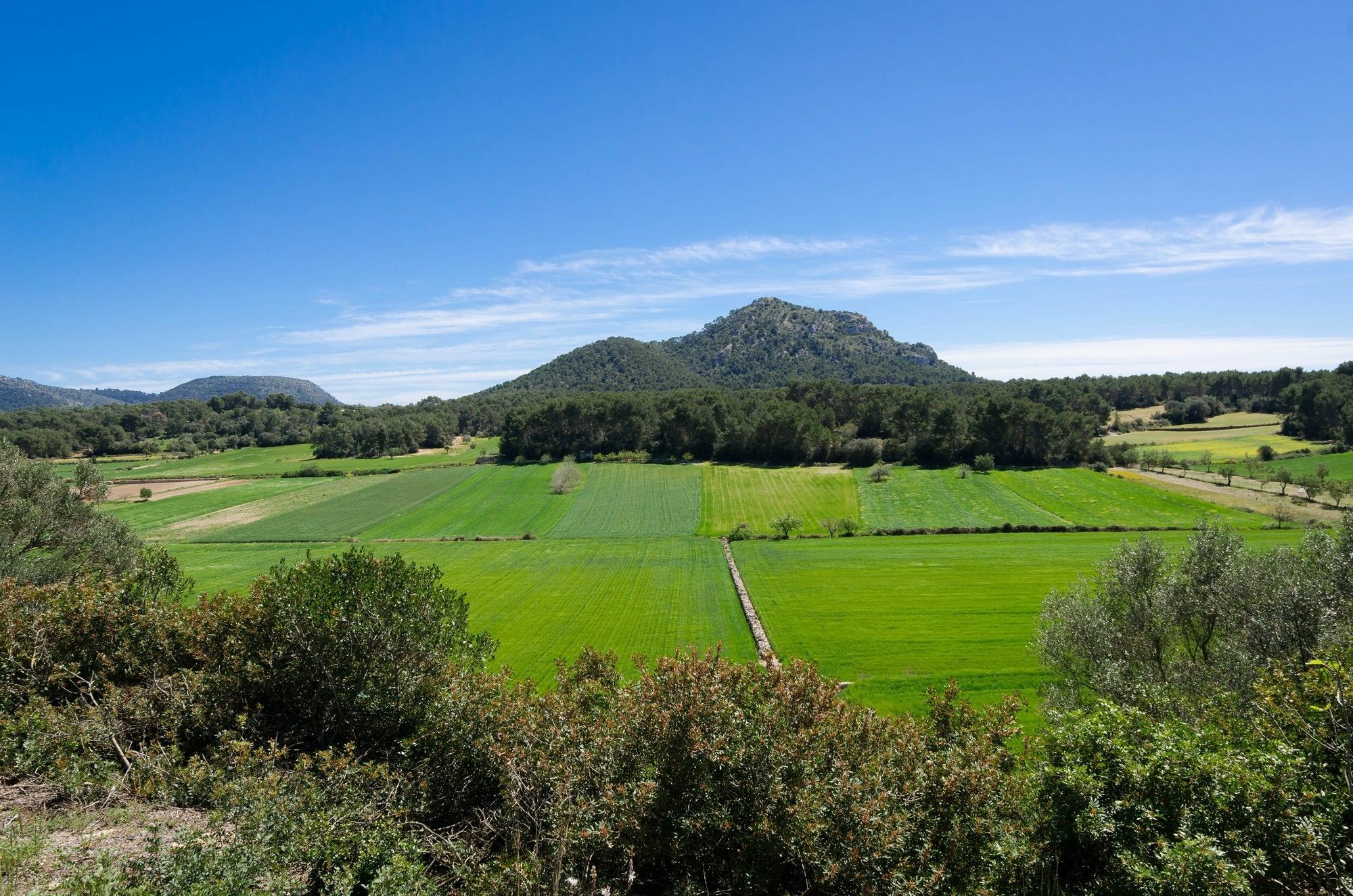 Pistola Villa Algaida (Mallorca)