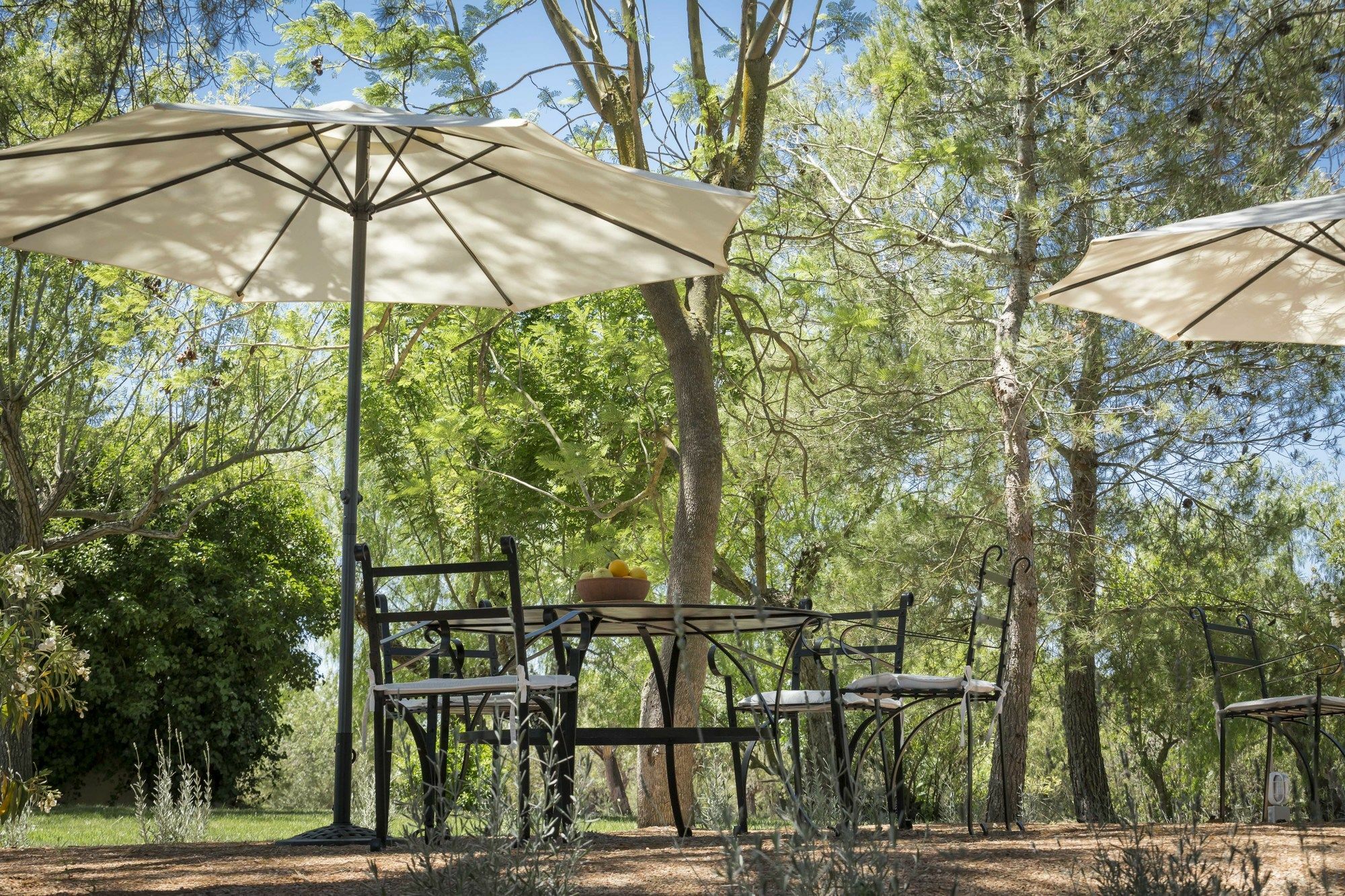 Agroturismo Son Miranda - La Organic Sencelles