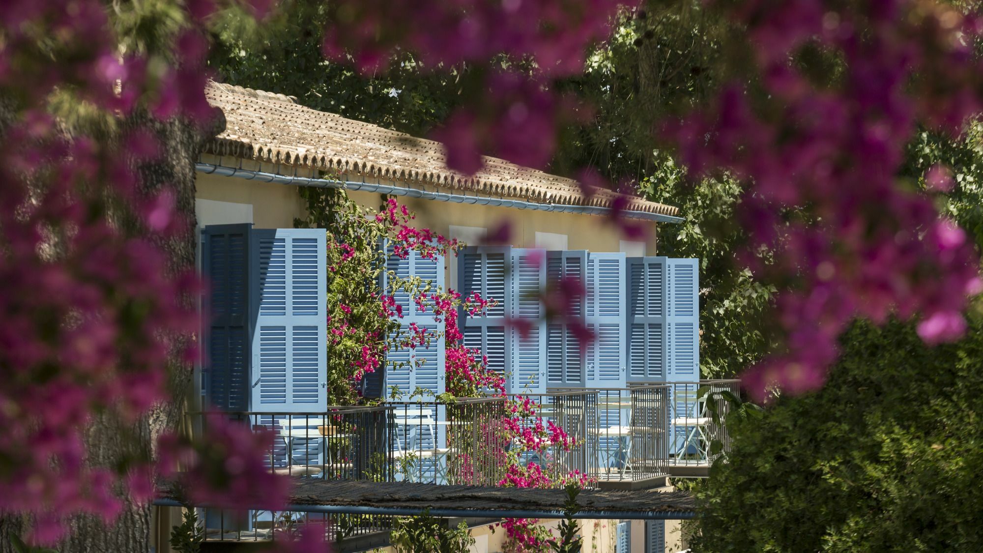 Son Miranda - La Organic Agroturismo
