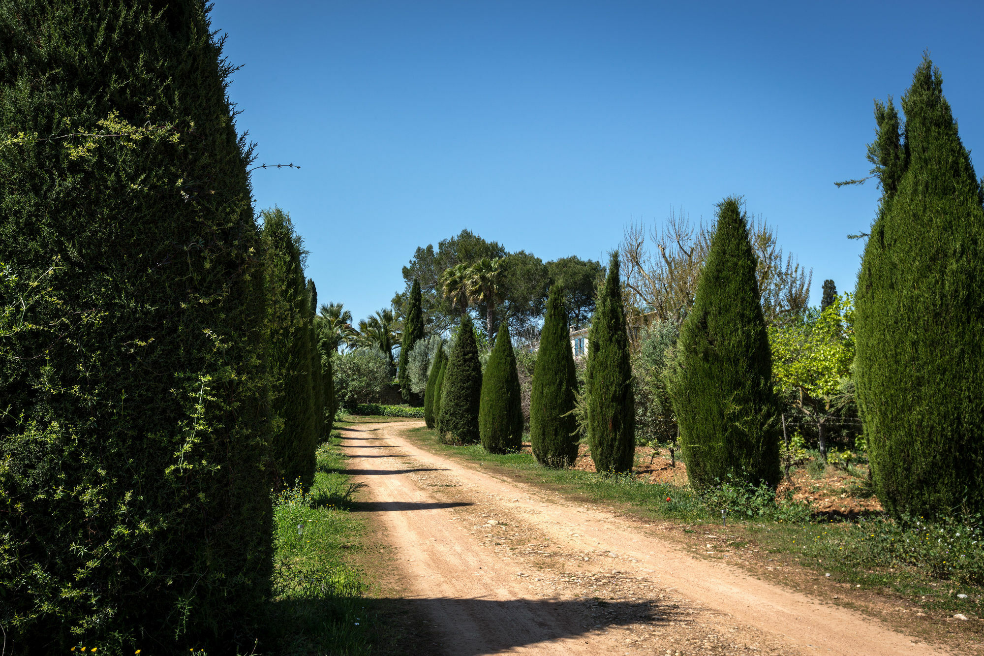Son Miranda - La Organic Sencelles