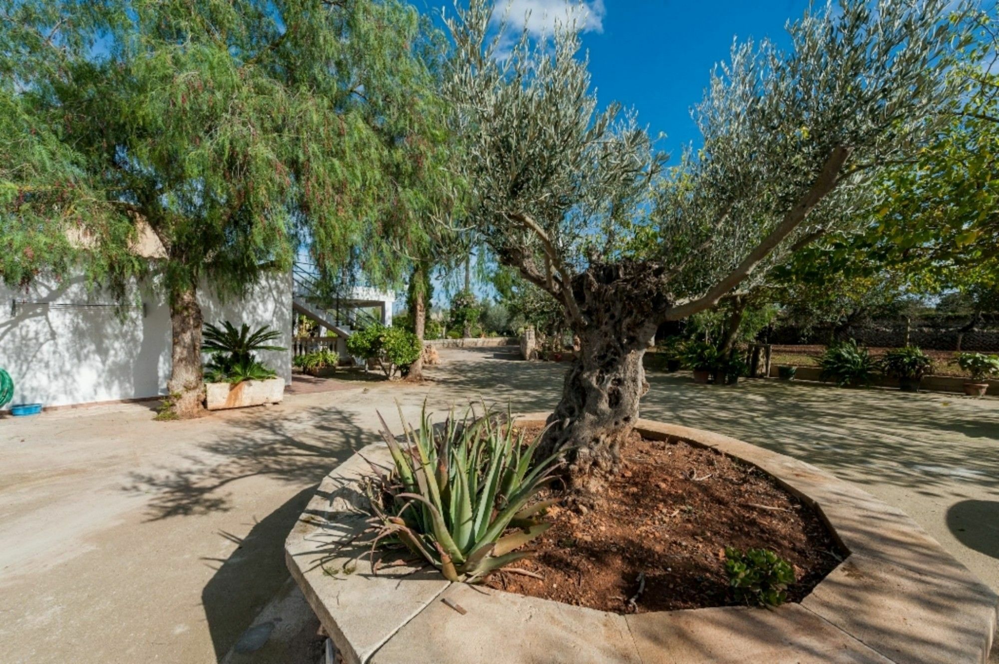 Villa Son Terrola Santa Margalida