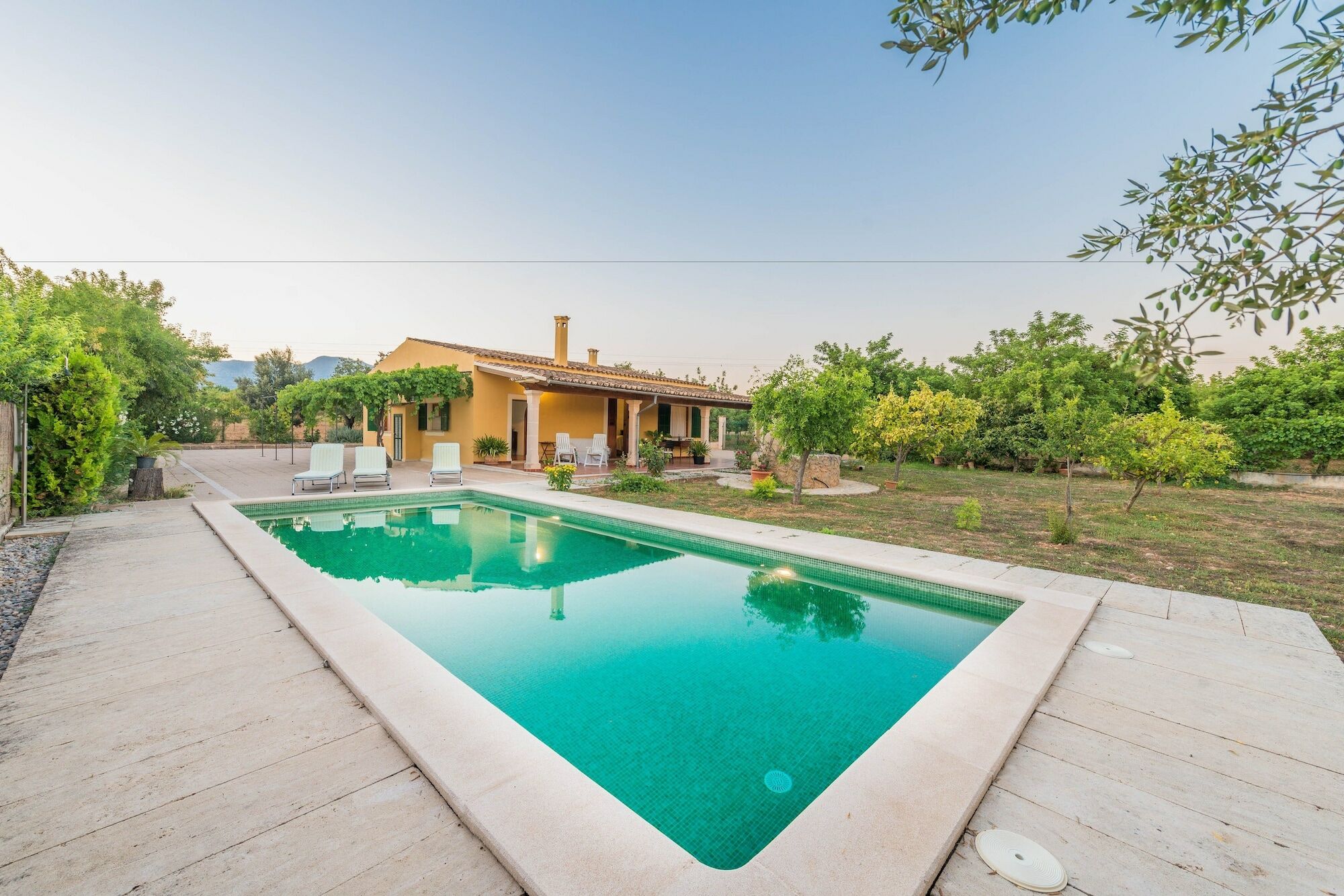 Moscari Inca (Mallorca)