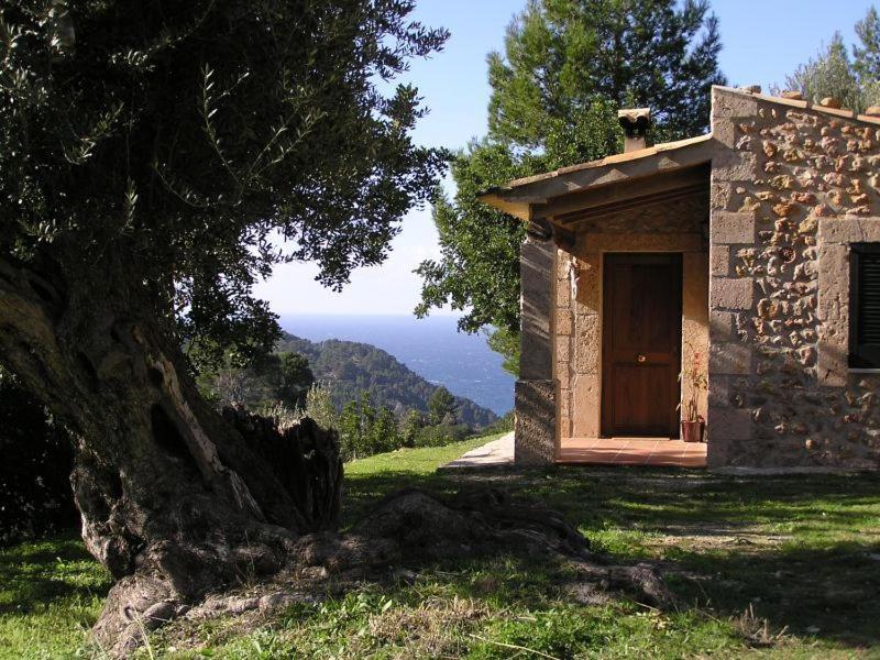 Agroturismo S'olivar Estellencs (Estellenchs)