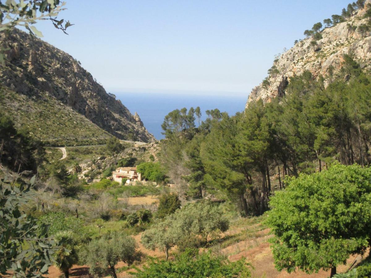 Ses Fontanelles Andratx (Andrach)