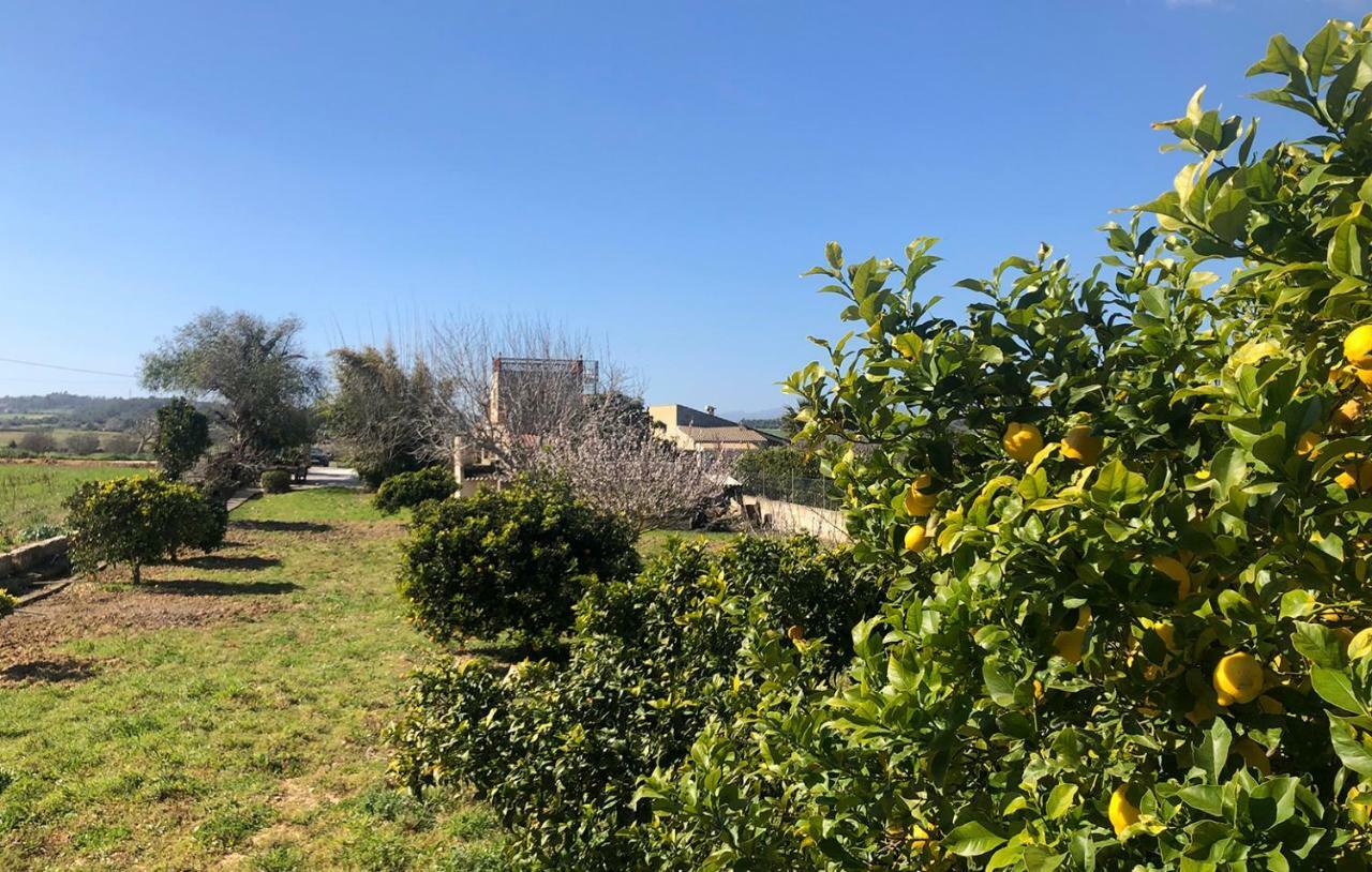 Son Roig ,lugar Idílico,en El Corazón De Mallorca *