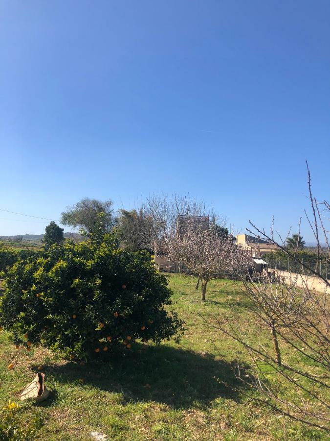 Son Roig ,lugar Idílico,en El Corazón De Mallorca Villa *