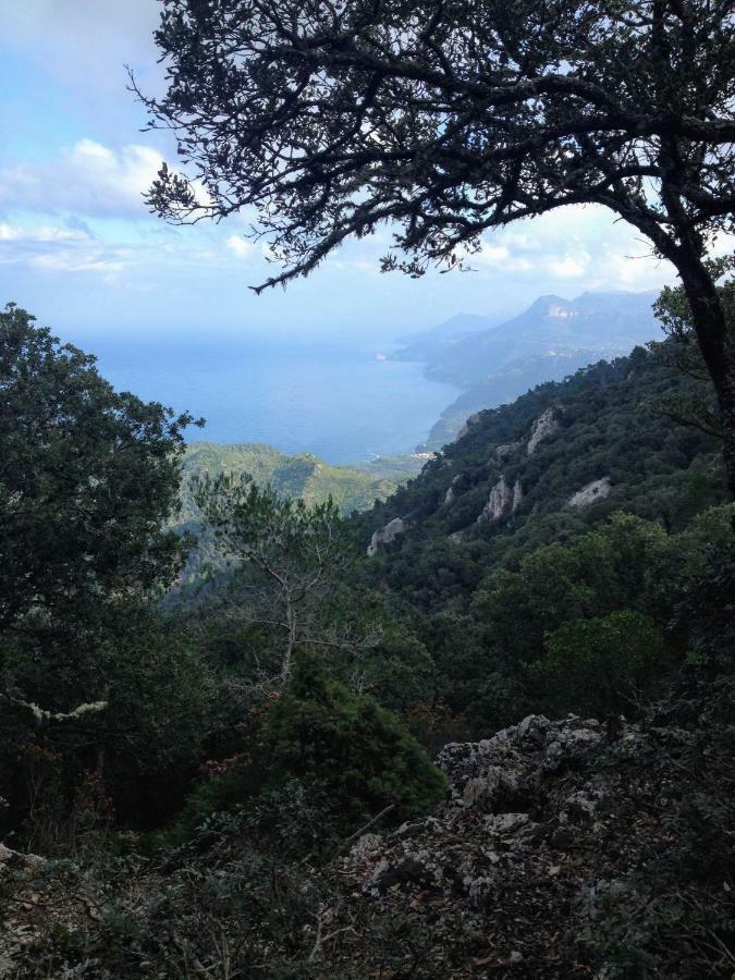 In Tramuntana Сasa de vacaciones