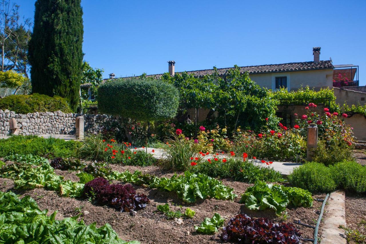 Country house Oliver Moragues Grandhouse & Vineyard