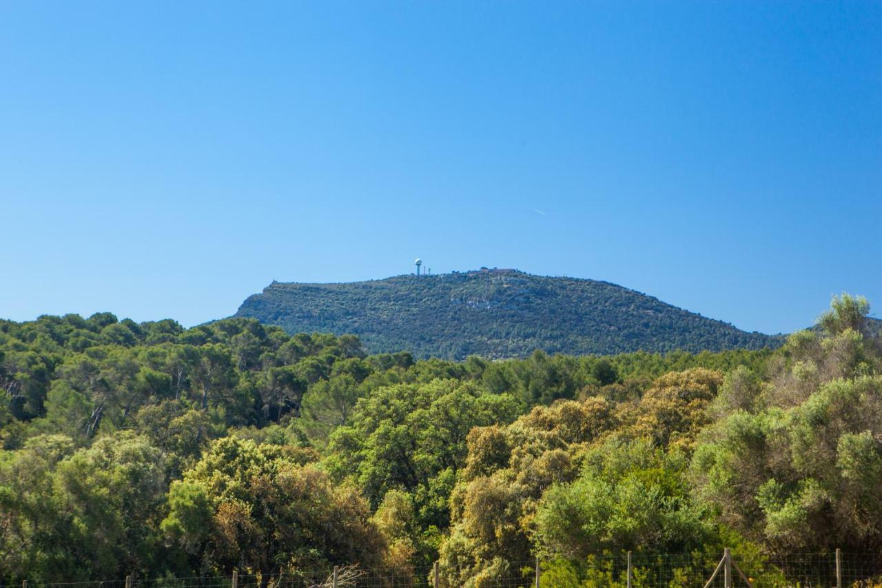Oliver Moragues Grandhouse & Vineyard * Algaida (Mallorca)