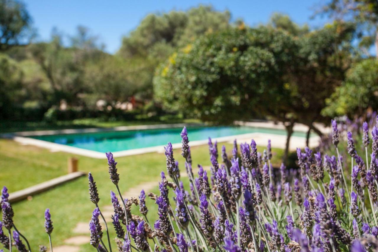 Oliver Moragues Grandhouse & Vineyard * Algaida (Mallorca)
