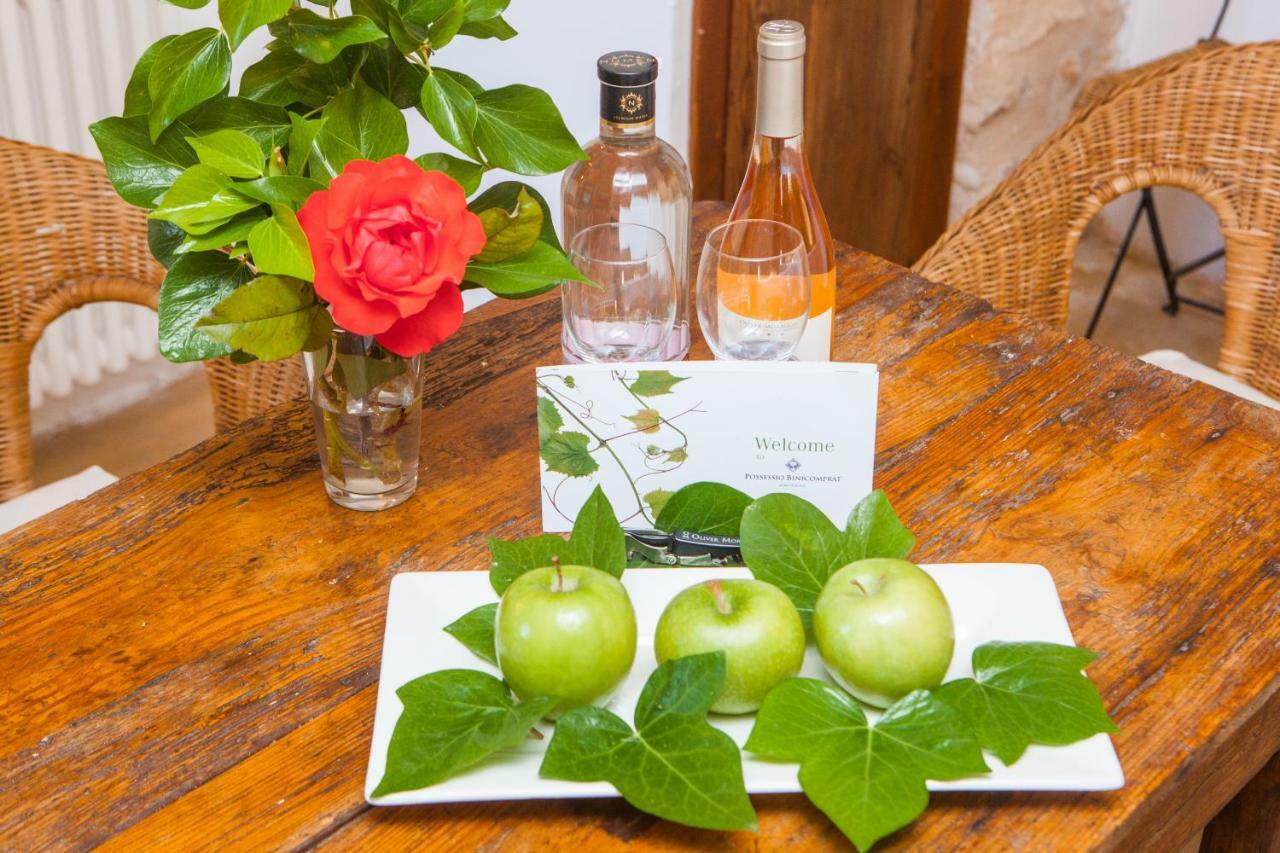 Oliver Moragues Grandhouse & Vineyard *