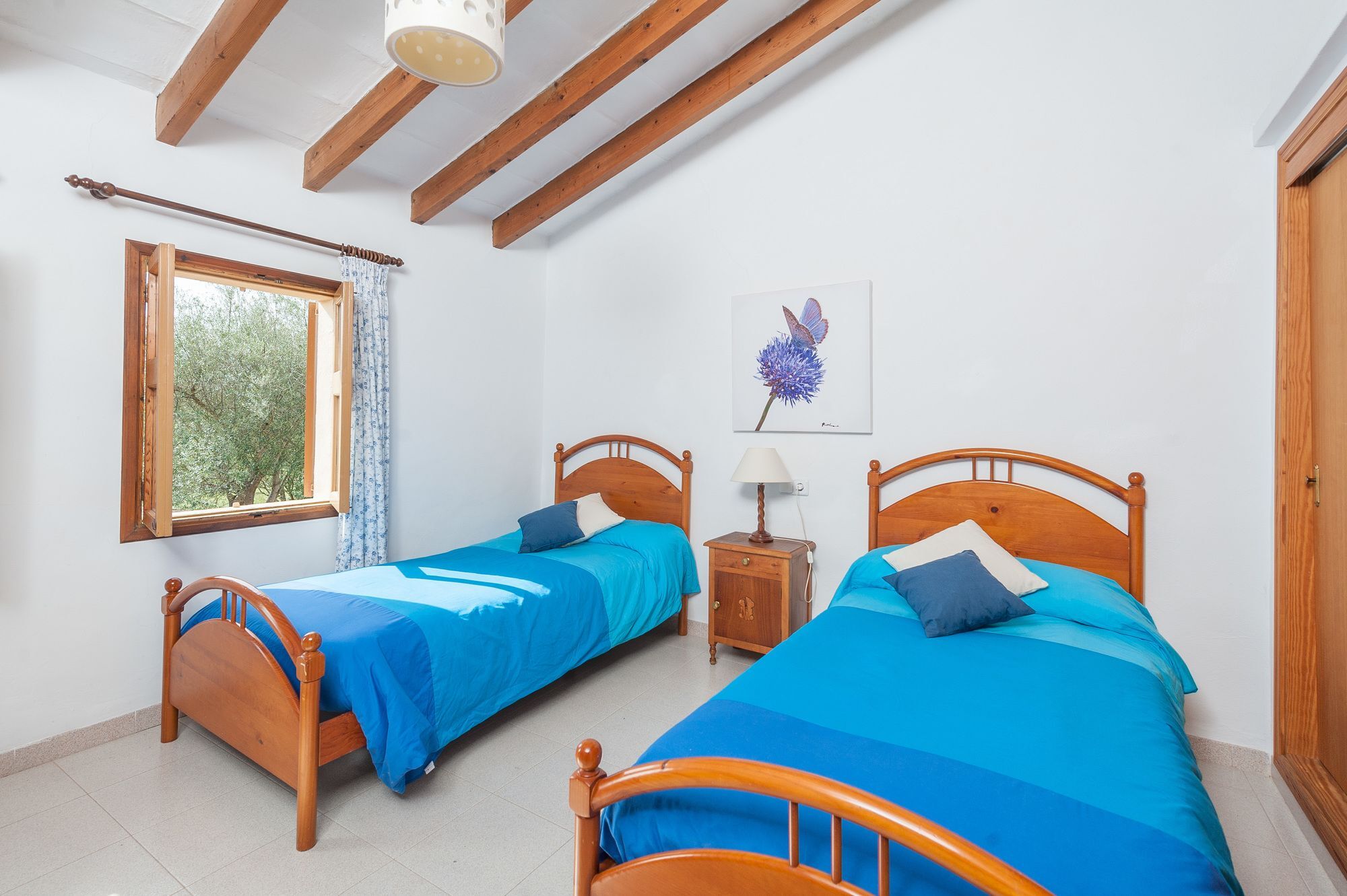 Clavell 5* Pollensa