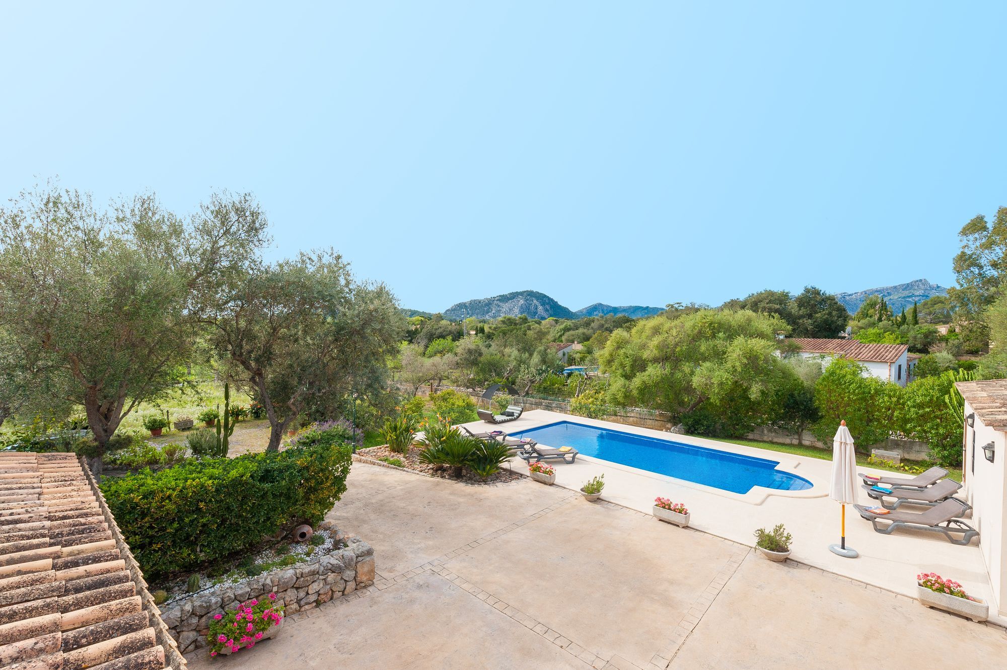 Clavell 5* Pollensa