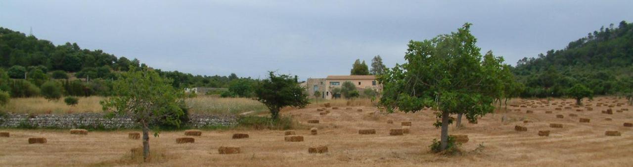 Finca Eucaliptus