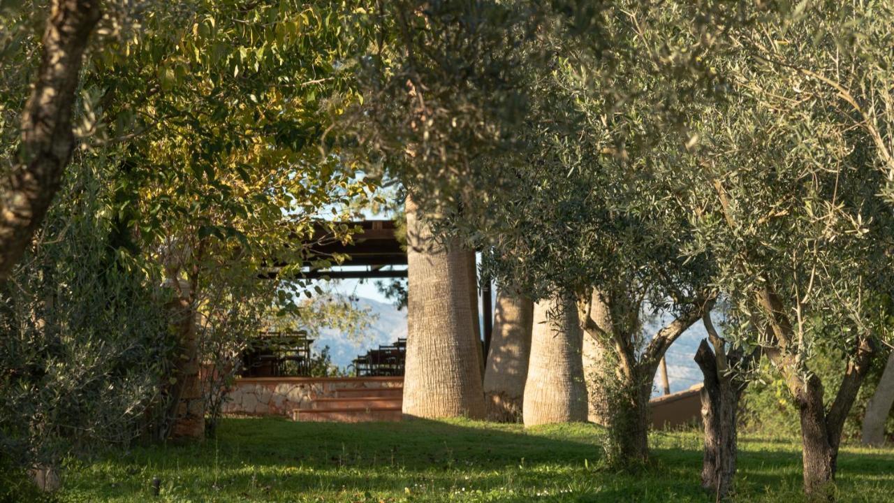 Son Miranda - La Organic Agroturismo