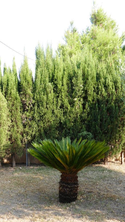 Holiday home Finca Can Jose Can Picafort (Mallorca)