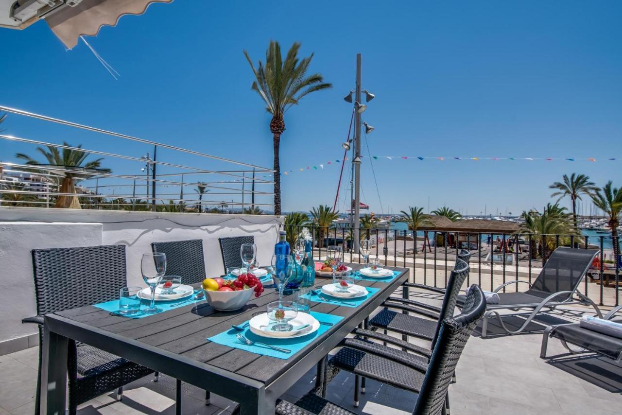 Concha Id:52805 Port de Alcudia (Mallorca)