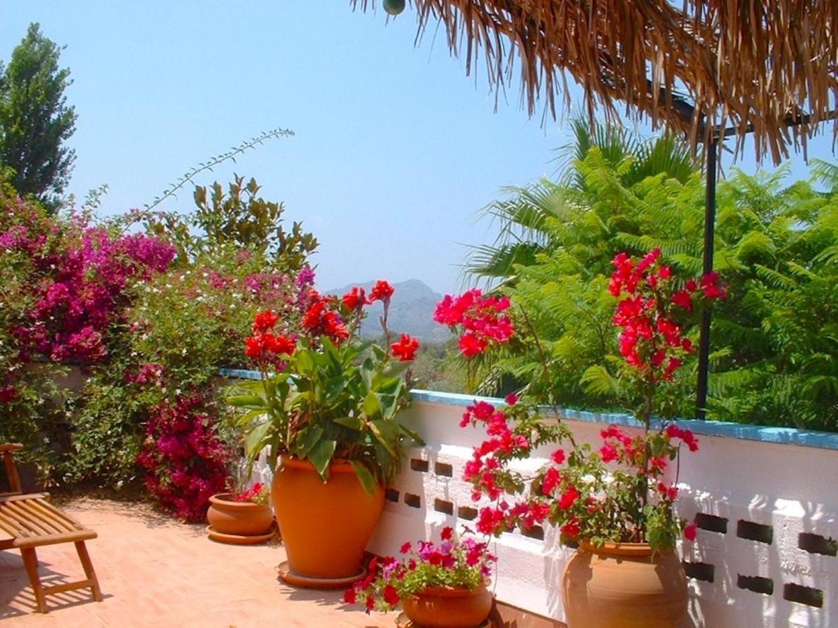 Soler By Sealand Alcúdia