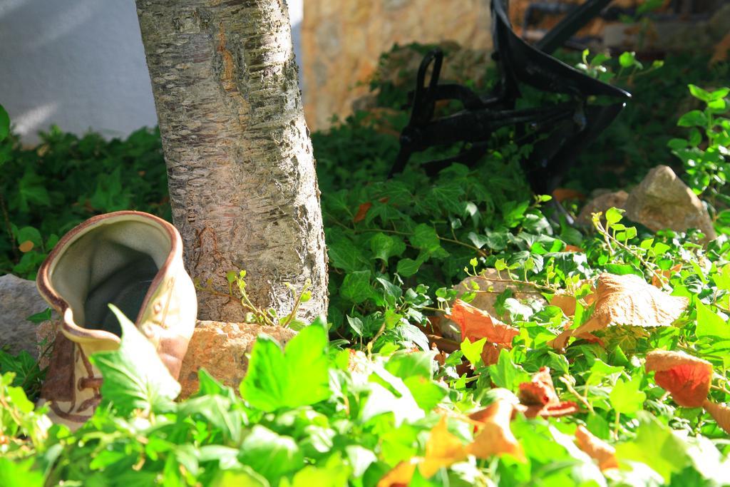 Guest house Columbus Family Boutique Peguera