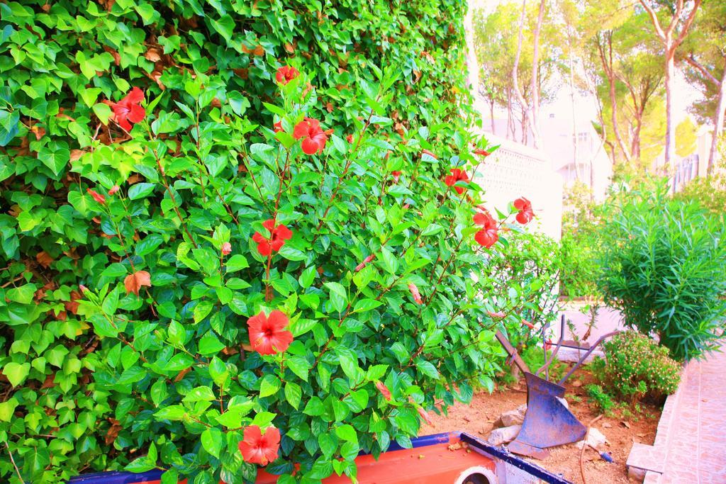 Guest house Columbus Family Boutique 2*